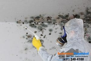 Spraying Mold